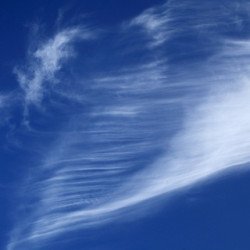 통합대기, 미세먼지, 초미세먼지 알리미(7,11,15,19시에 알림)자료 제공 : 한국환경공단데이터 오류 및 표출 방식에 의해 값이 다를 수 있