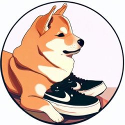 한정판 운동화 드로우 및 선착순 발매 정보매일 신제품 업데이트9시 50분