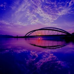 움직이는 이미지Best GIFS 