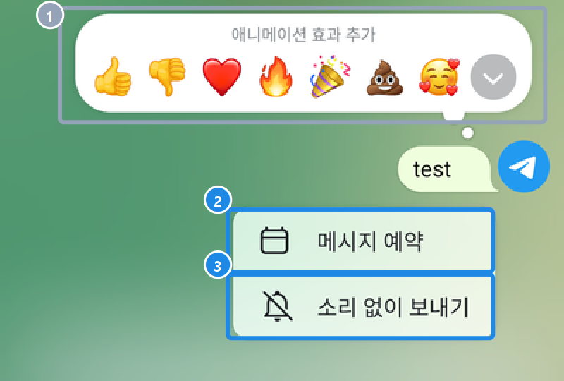 안드로이드 일대일 대화에서 보내기 단추를 길게 누른 메뉴 — 애니메이션 효과, 메시지 예약, 소리 없이 보내기