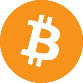 Bitcoin 프로필