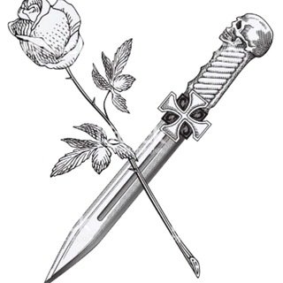 DandoZigib 프로필