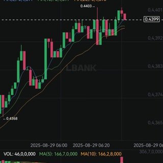 핸크립토 프로필