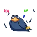 까칠한 까마귀 (Angry Crow)