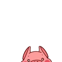 아기 돼지 발레라 (Pig Valera)