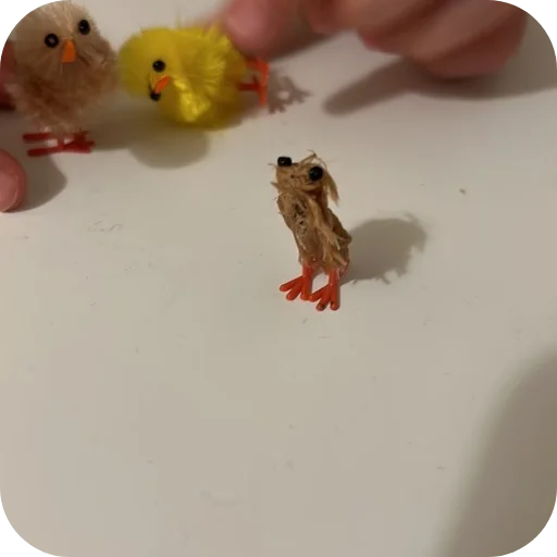 텔레그램 스티커