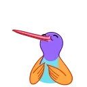 콜리브리 벌새 (Colibri)