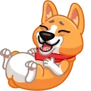 웰시코기 머핀 (Muffin the Corgi)