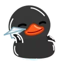 검은 오리 (Black Duck Duck X)