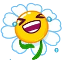 데이지 로마시카 (Daisy Romashka)