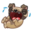 퍼그 프레드 (Fred the Pug)