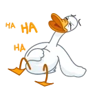 펑키 구스 (Funky Goose)