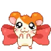 귀여운 햄스터 (Cute Hamster)