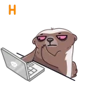 벌꿀오소리 (Honey Badger)
