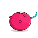 핫 체리 (Hot Cherry)