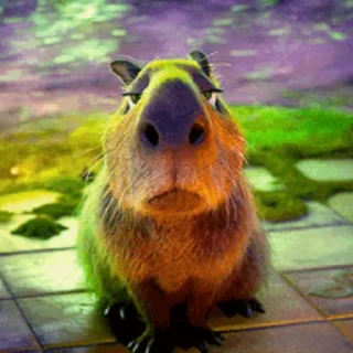 카피바라 선생님 (Capybara)