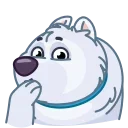 빅 플루프 꼬다 (Big Floof)