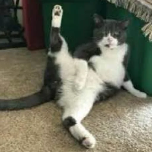 텔레그램 스티커