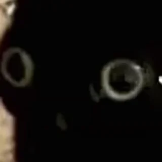 야피 고양이 밈 (Yippee Cat Meme)