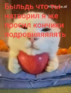 하얀 고양이 코샤릭 (White Cat Kosharik)