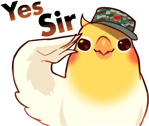 텔레그램 스티커