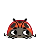 무당벌레 숙녀 (Ladyboo)
