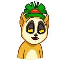 마다가스카 여우원숭이 (Lemur)
