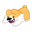 통통 웰시코기 라이프 (Corgi Life)