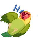 러브 버드 (Love Birds)