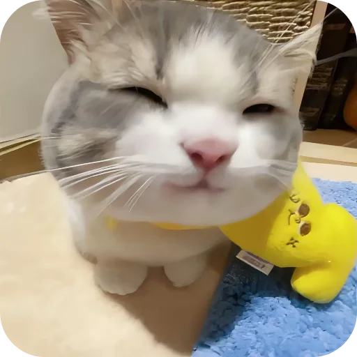 텔레그램 스티커