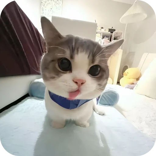 텔레그램 스티커