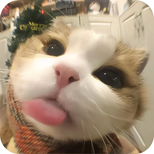 텔레그램 스티커