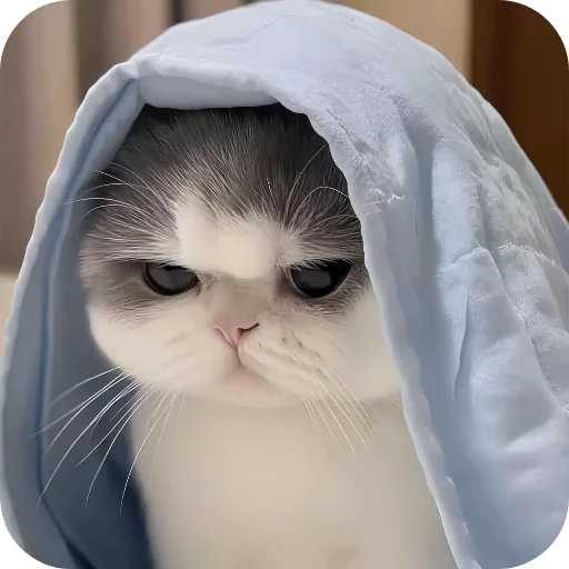 텔레그램 스티커