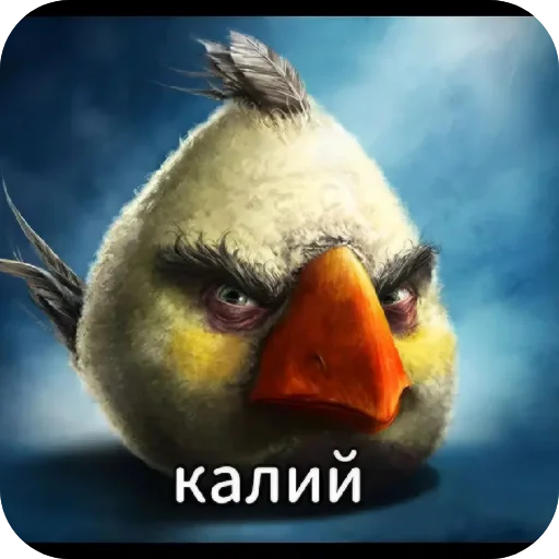 텔레그램 스티커