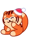 새해 호랑이 (New Year Tiger)