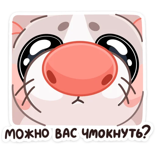 텔레그램 스티커