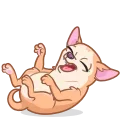 피치 치와와 (Peachy Chihuahua)