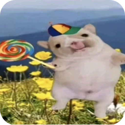 텔레그램 스티커