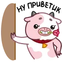 분홍 소의 춤 (Pink Cow)