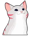 팝캣 (Pop Cat Animated)