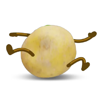 포테이토 구황작물 (Potato)