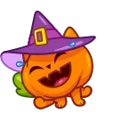 호박 고양이 (Pumpkin Cat)