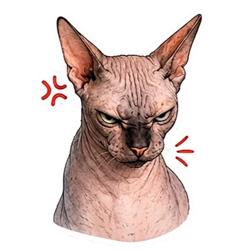 텔레그램 스티커