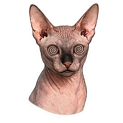 텔레그램 스티커