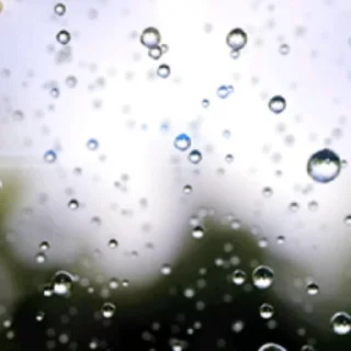 비 오는 날의 감성 (Rain)
