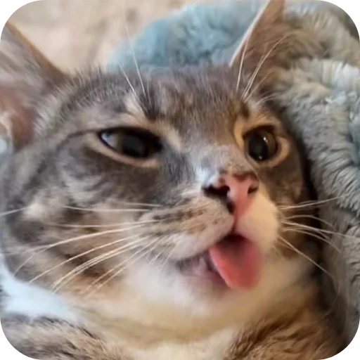 텔레그램 스티커