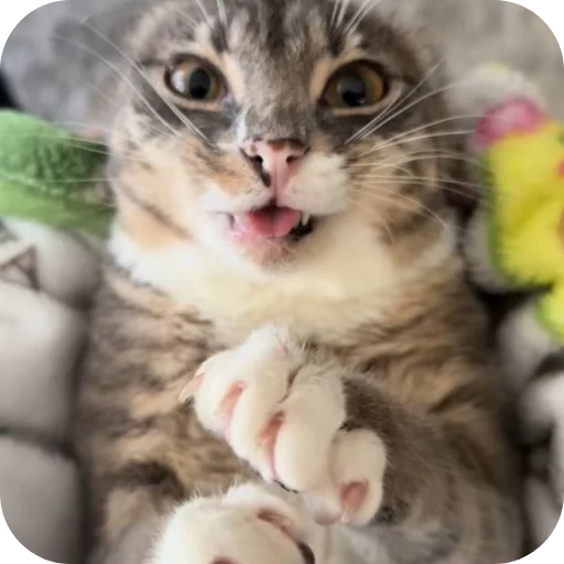 텔레그램 스티커