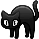 겁먹은 고양이 (Scared Cat)