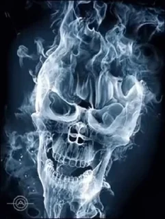 저승사자의 해골 비디오 (Skulls Video Pack)
