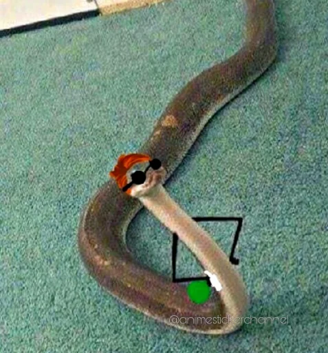 텔레그램 스티커